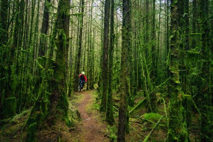 MBR Magazine // Mabie Forest