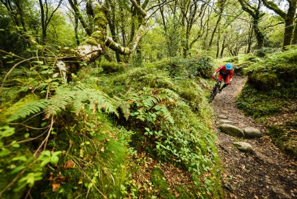 Cranked Magazine // Dartmoor