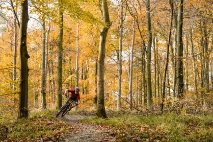 Singletrack Magazine // Dalby Forest